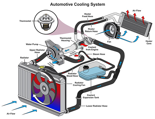 Why Do Cars Need a Cooling System Flush | Guthrie's Auto Service
